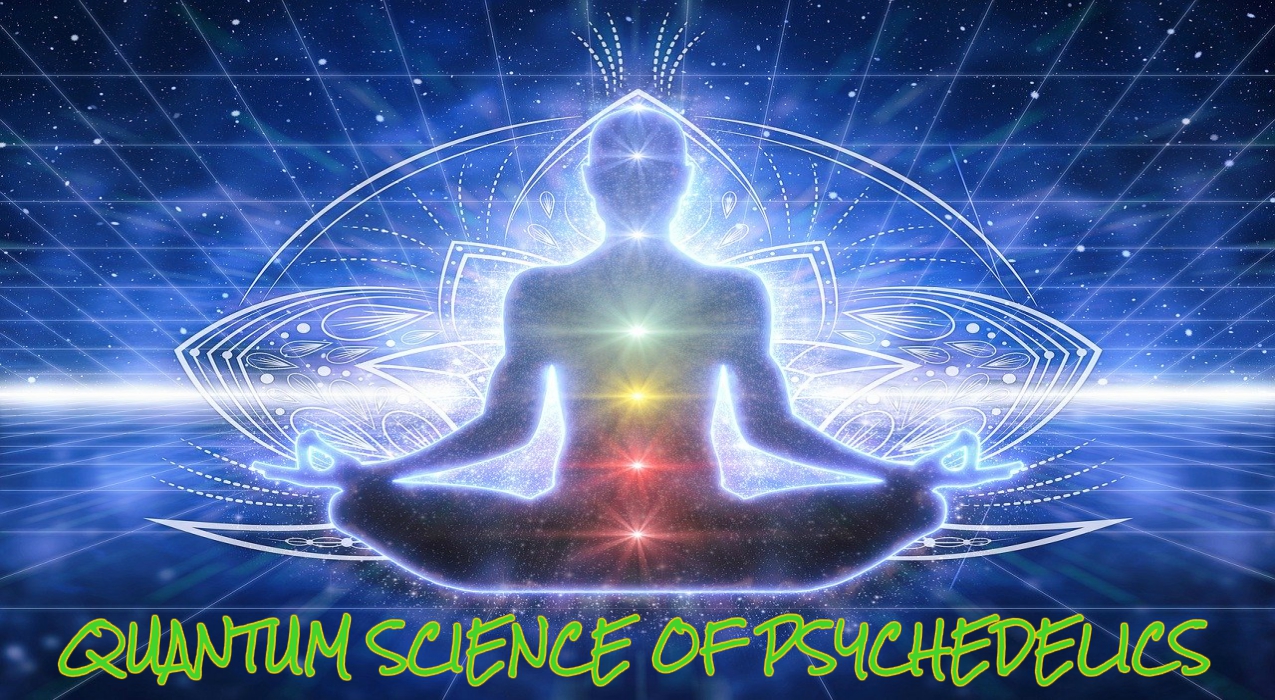 Thumbnail for Ep. #378: Quantum Science of Psychedelics w/ Carl Johan Calleman, Ph.D.