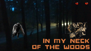Thumbnail for Ep. #432: In My Neck Of The Woods w/ Jason McLean