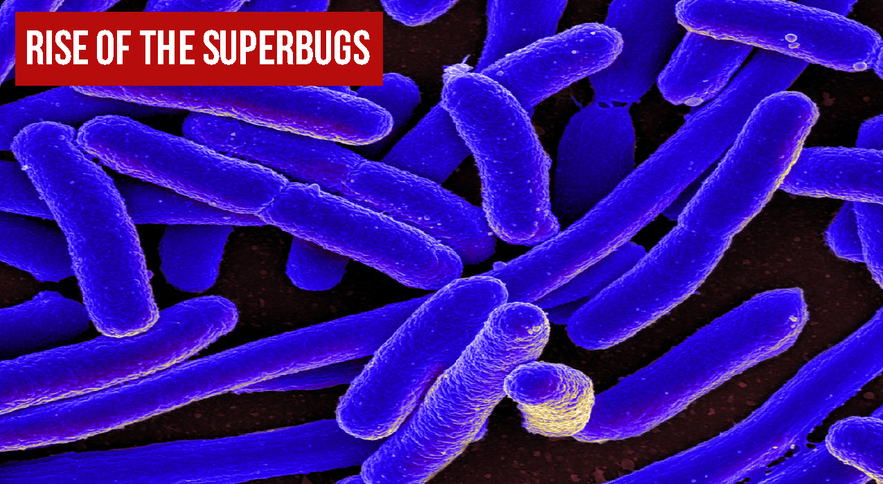 Thumbnail for Ep. #342: Rise of the Superbugs w/ Michael Graziano